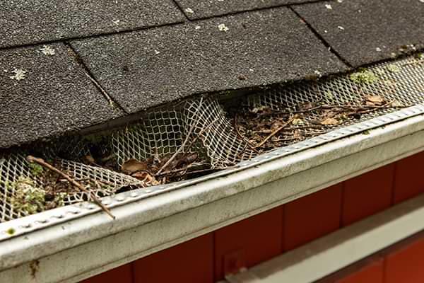 [state] clogged gutters